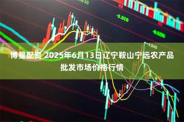 博星配资 2025年6月13日辽宁鞍山宁远农产品批发市场价格行情