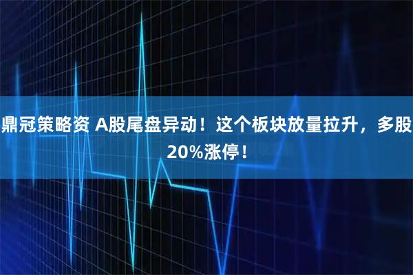 鼎冠策略资 A股尾盘异动！这个板块放量拉升，多股20%涨停！
