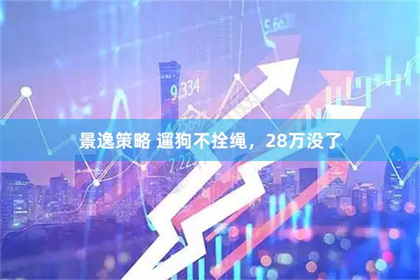 景逸策略 遛狗不拴绳，28万没了